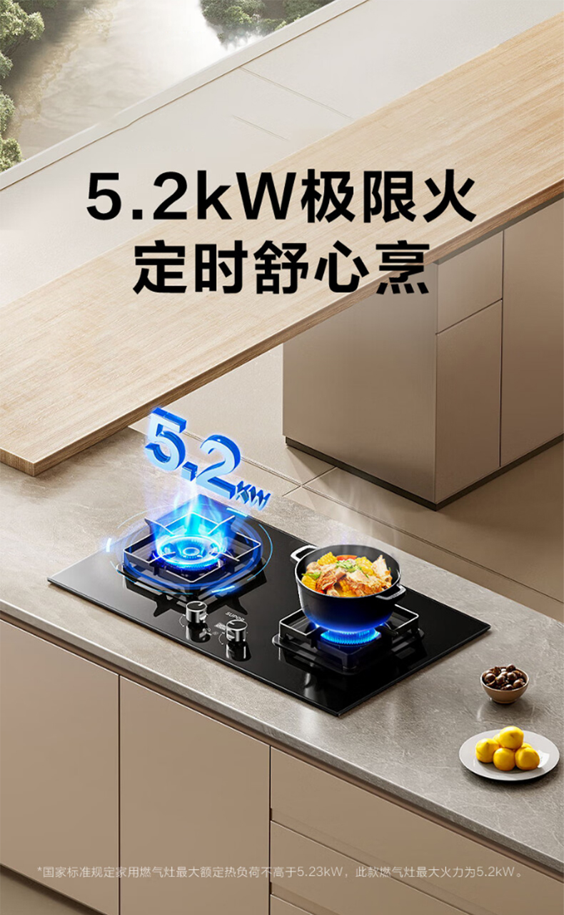 RJH-L2-01玻璃2头炉 image 4